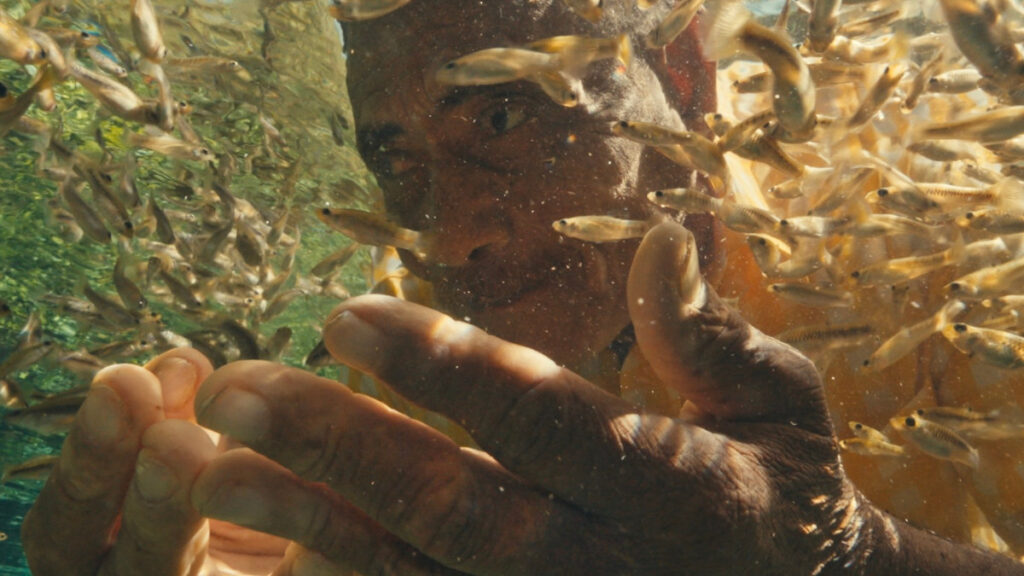 La Aldea Estudio produce homenaje Blanco Turbí, el Hombre Tortuga
