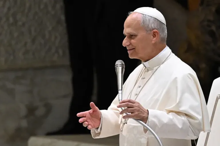 Papa León XIV: “Un médico no debería decidir sobre la vida de un embrión ni de un anciano”