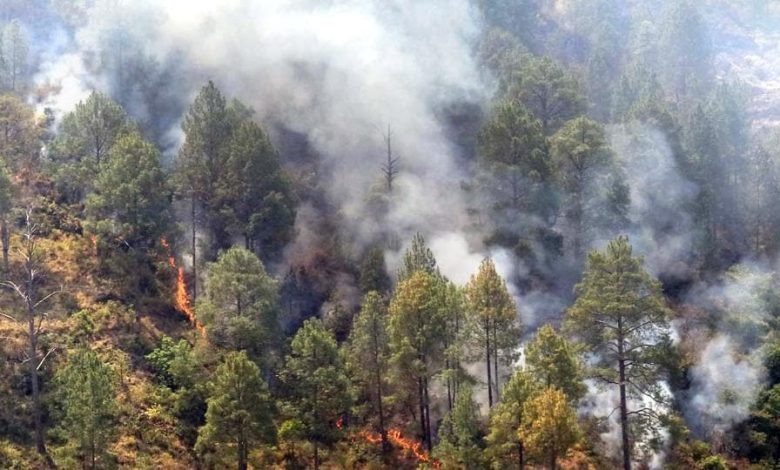 COANOR califica de deplorable y condenable supuesta provocación de incendio en cerro Chacuey