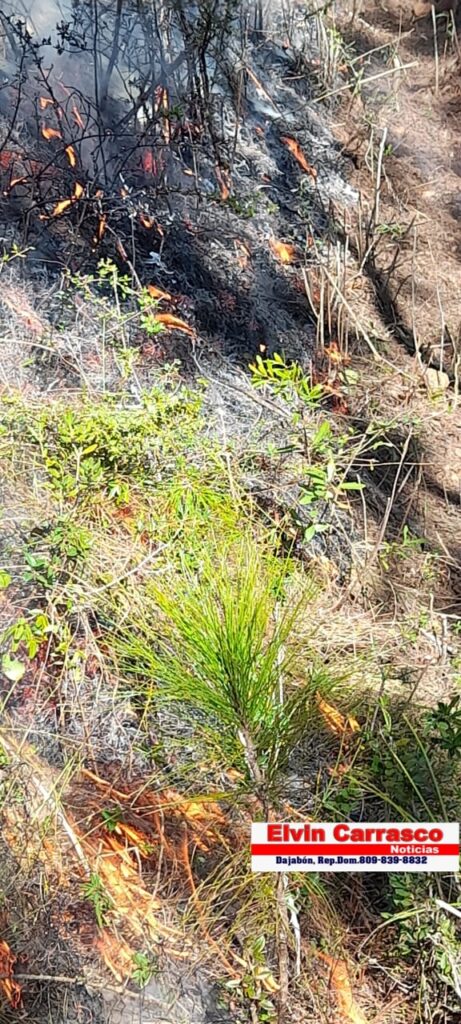 Bomberos forestales y voluntarios realizan ardua labor para sofocar fuego en cerro Chacuey