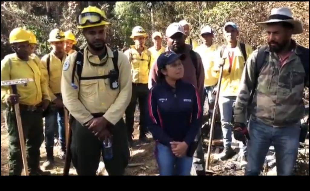 Provincial de Medio Ambiente informa incendio cerro Chacuey está controlado
