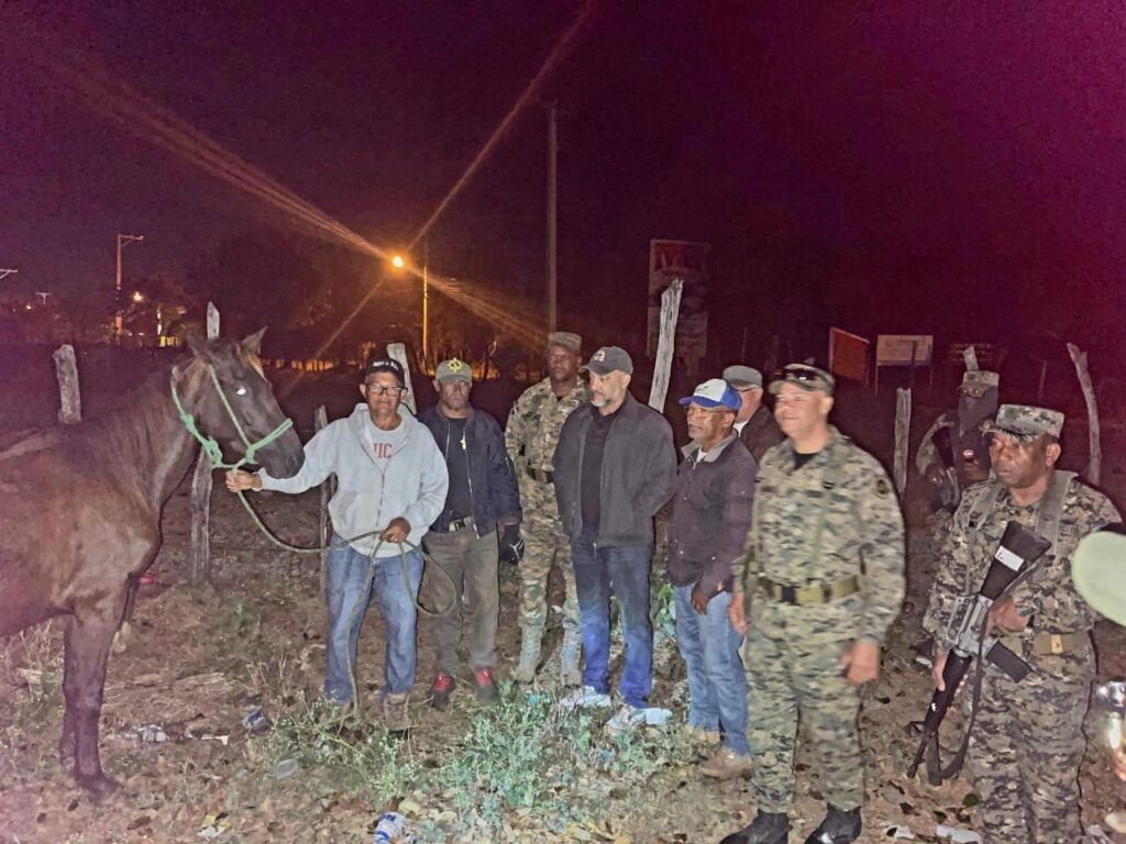Ejército recupera ganado robado en hacienda de Dajabón