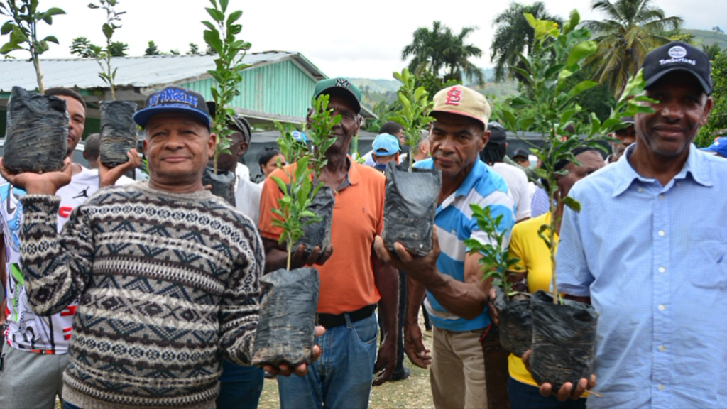 Agricultores en Hondo Valle reciben 25,000 plántulas de café