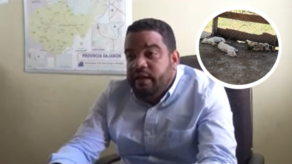 Confirman brote de fiebre porcina africana en El Pino, Dajabón