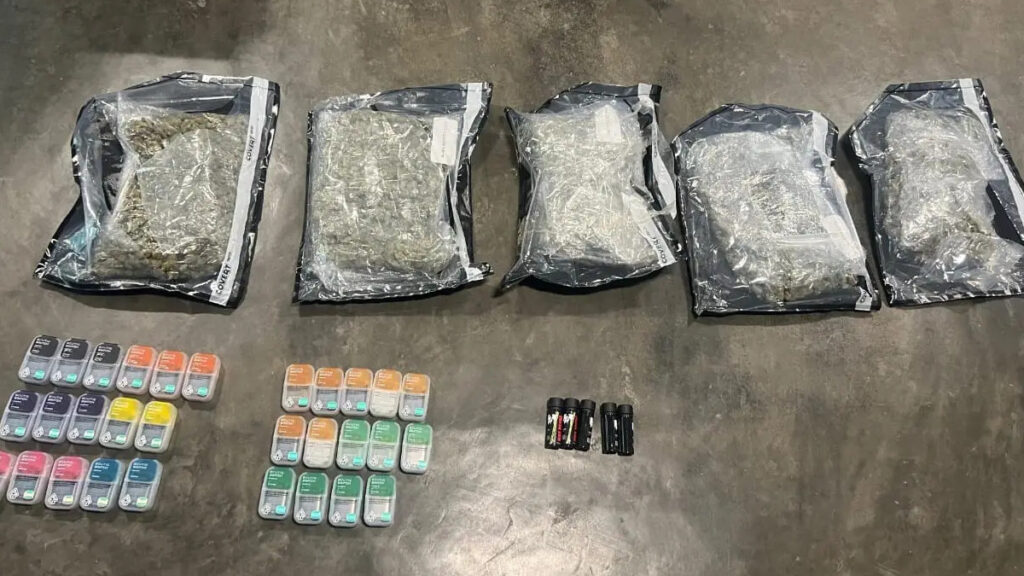 DNCD ocupa paquetes de marihuana en el AILA