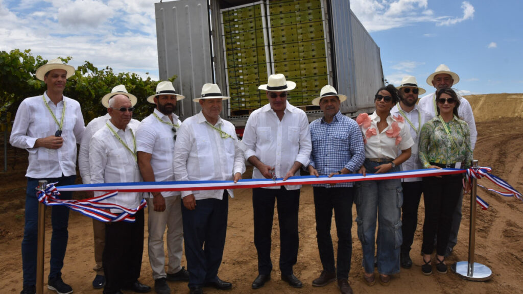 RD inicia exportación de primeros contenedores de uvas de mesa hacia EE.UU.