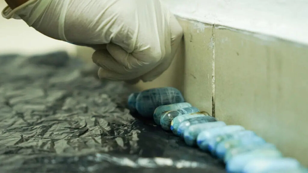 Ciudadano francés intenta salir por AILA con estómago lleno de bolsitas de presunta cocaína