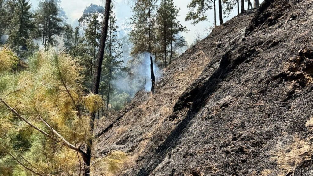 Bomberos forestales controlan fuego en San José de Ocoa