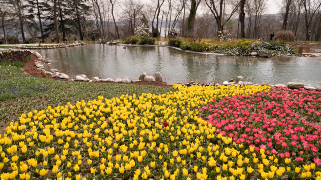 Llega la primavera, llegan las alergias