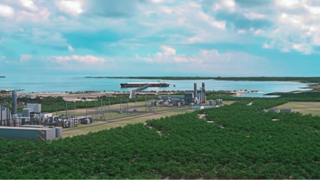Apicultores Manzanillo denuncian destrucción bosque seco subtropical costero y producción de miel
