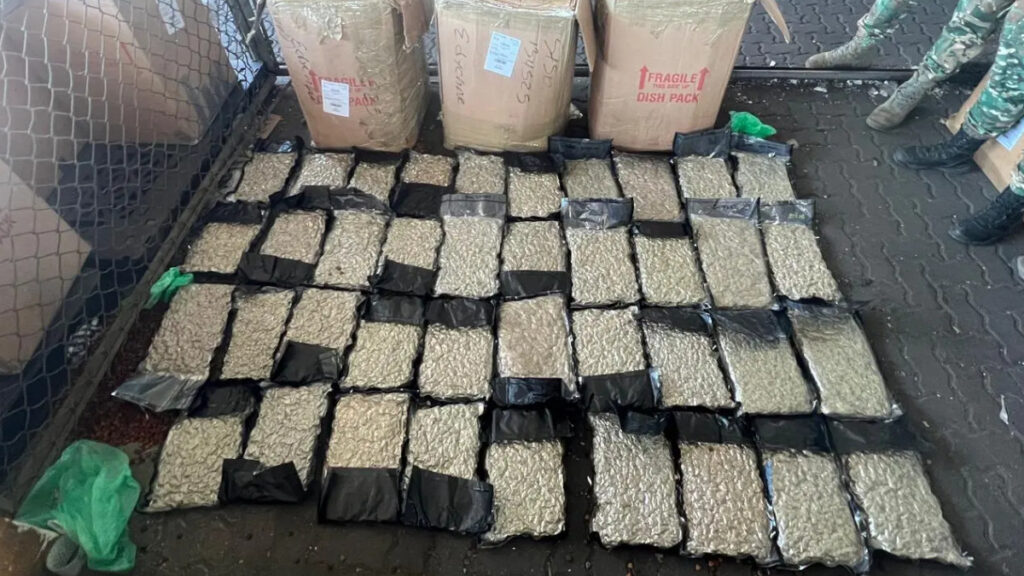 DNCD ocupa 39 paquetes de presunta marihuana en Puerto de Haina Oriental