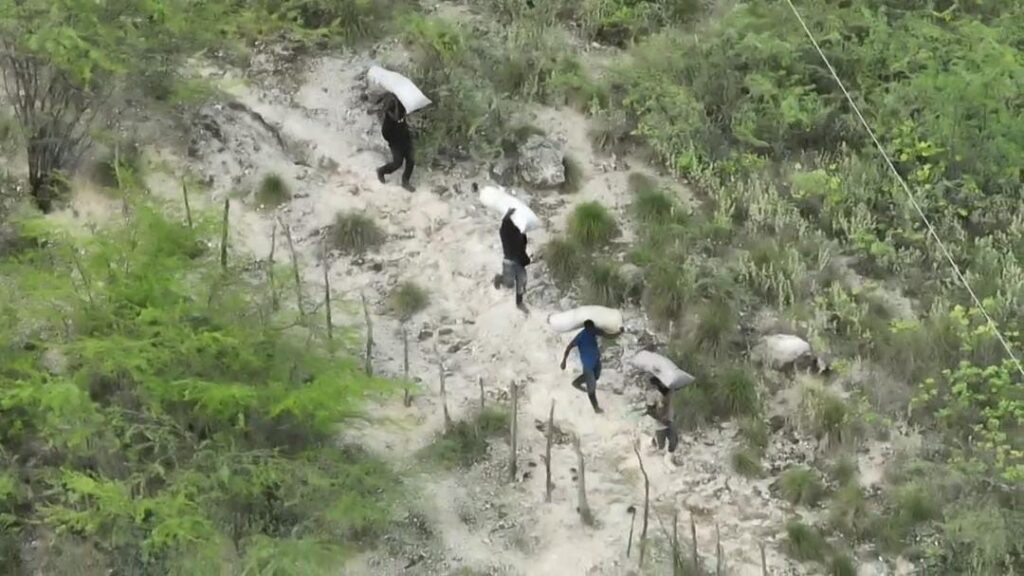 Incautan cargamento de carbón y otros ilícitos en la frontera