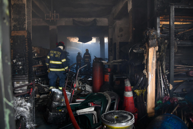 Bomberos han rescatado a 161 animales en situación de riesgo