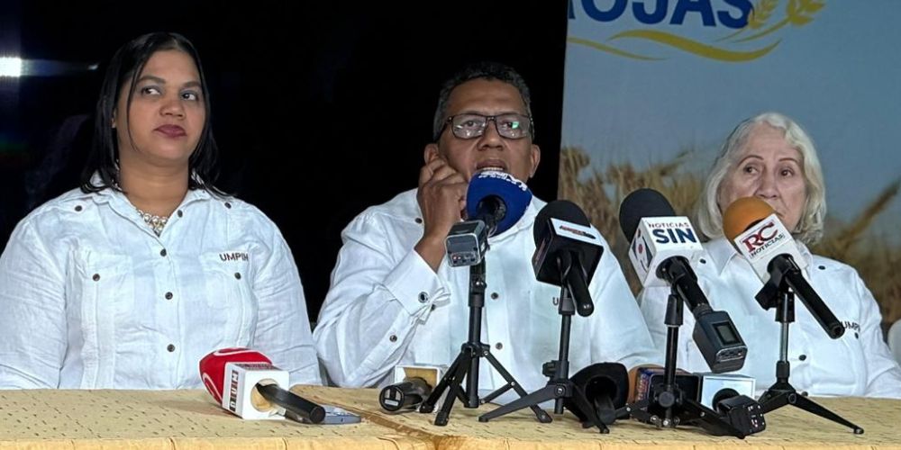 Industriales de la harina cuestionan subsidios al cine mientras alimentos quedan sin apoyo