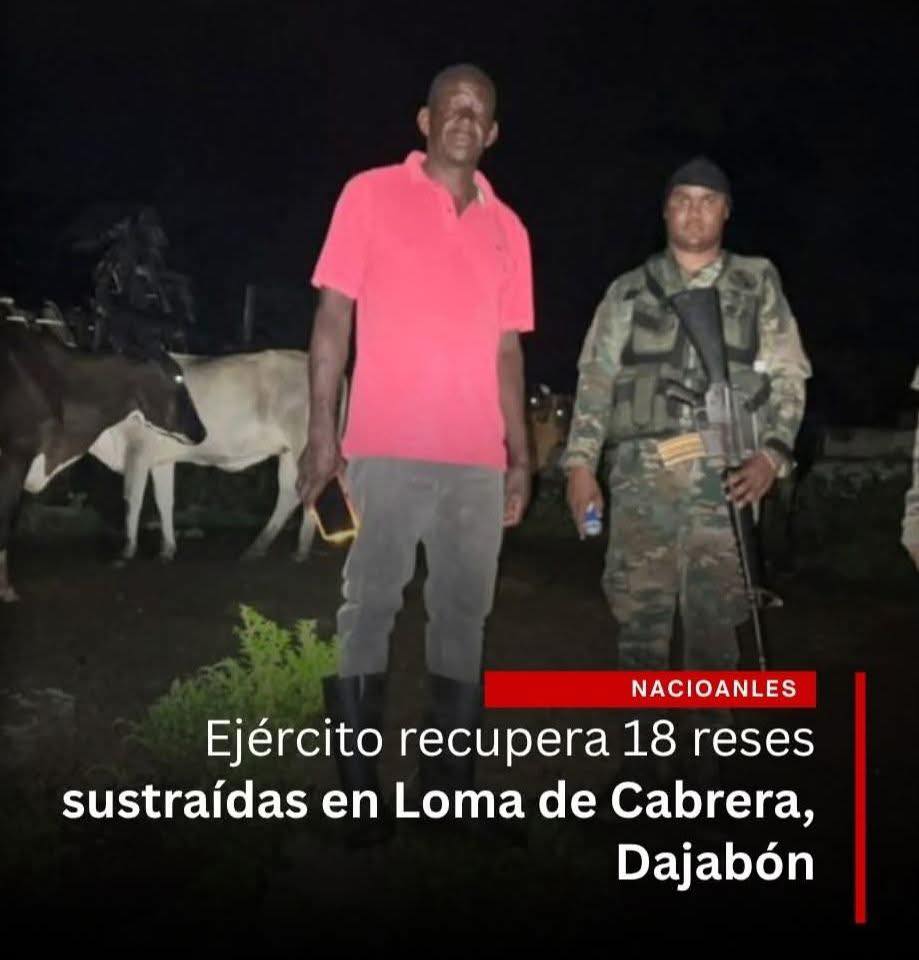 Ejército recupera 18 reses sustraídas en Loma de Cabrera, Dajabón