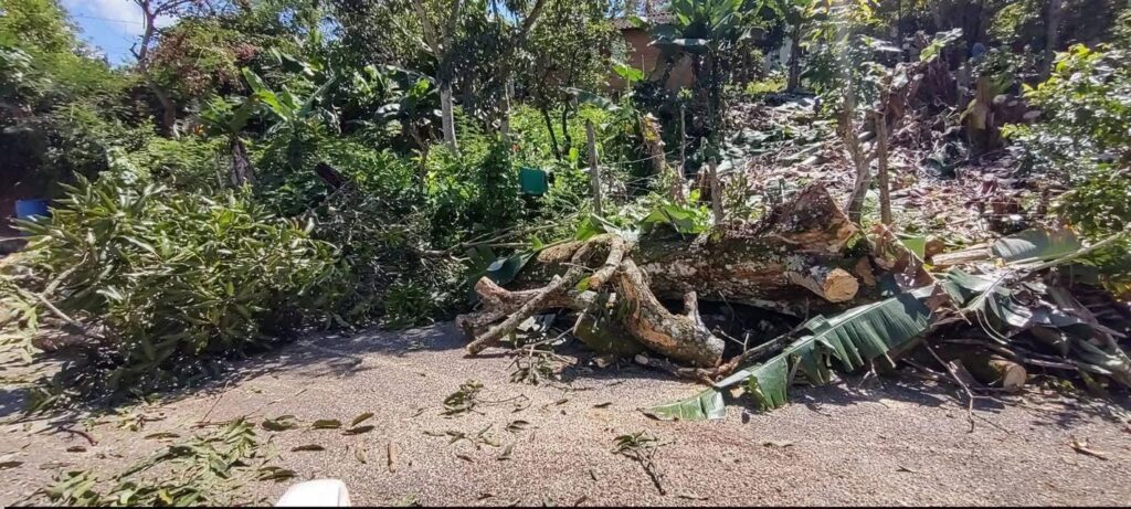 Denuncia pública desde Río Limpio