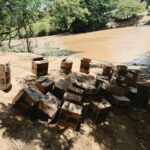 Ejército se incauta de un contrabando de aceite de motor introducido desde Haití en canoas a la zona de Pedro Santana