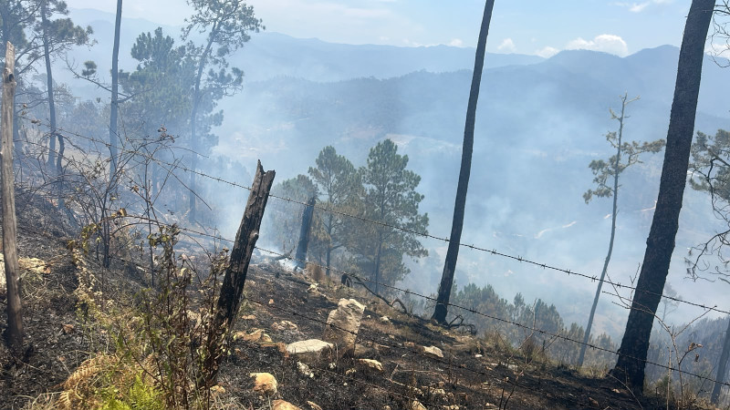 Autoridades de Medio Ambiente en Ocoa identifican a los causantes de incendios forestales