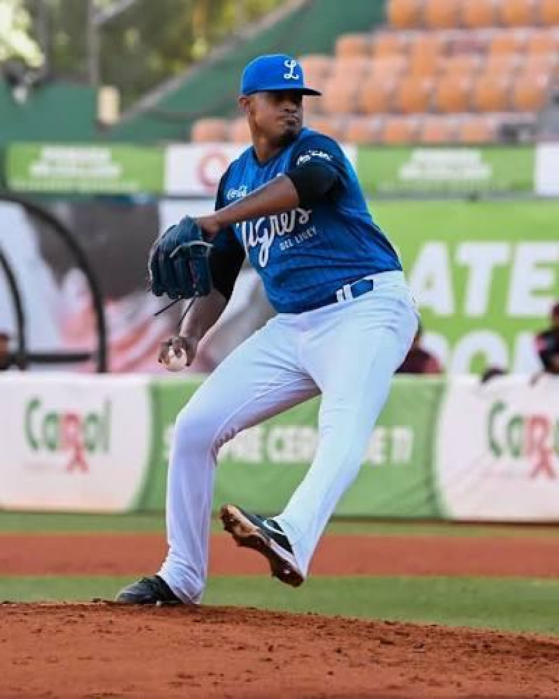 Los Tigres del Licey dejan en libertad a cinco jugadores