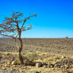 RD enfrentará riesgo moderado pero persistente por El Niño