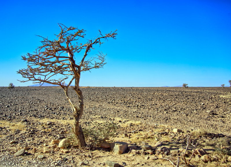 RD enfrentará riesgo moderado pero persistente por El Niño