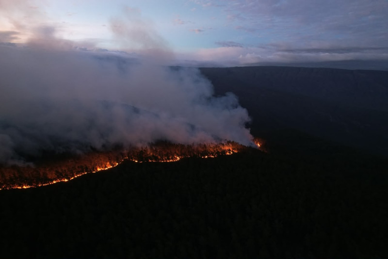 Humareda e incendios devoran pinares y fauna endémica en la Sierra de Bahoruco