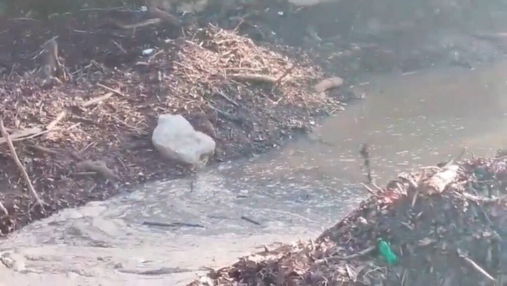 Moradores piden intervención urgente ante obstrucción de puente entre Palo Blanco y Santa María
