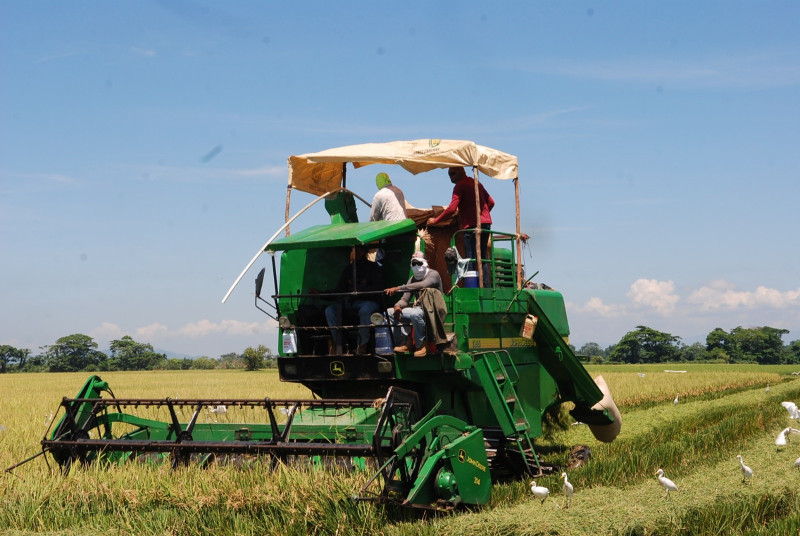 Comerciantes e industriales instan al Gobierno elaborar plan de respuesta sobre el arroz