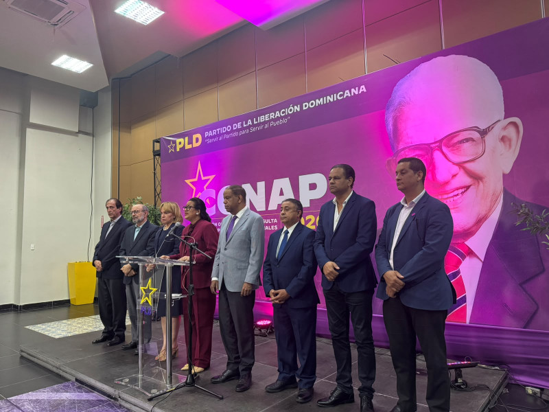 Hora después de críticas de Francisco Javier, PLD pide tener madurez tras suspensión de consulta