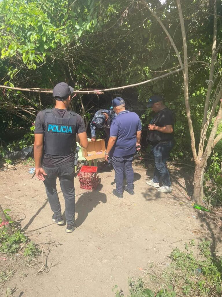 Policía Nacional ocupa 44 porciones de presuntas drogas en El Pino, Dajabón